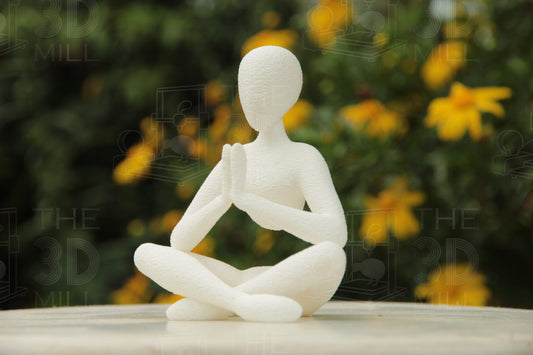 The Meditator