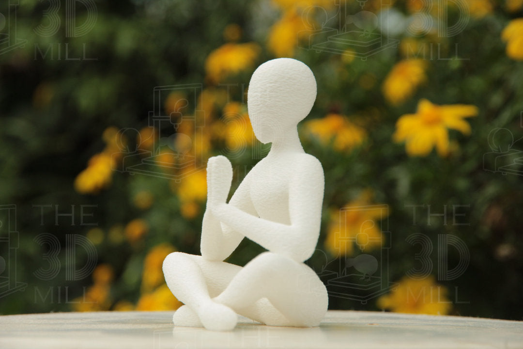 The Meditator