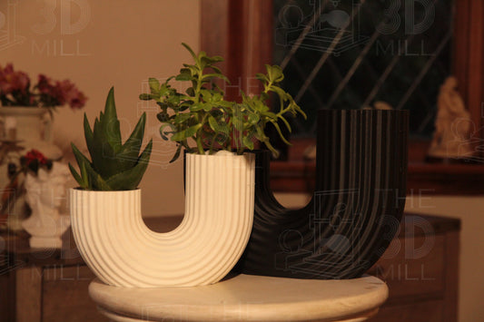 Modern Dual Indoor Planter