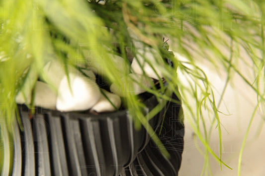 Modern Planter with Drip Tray