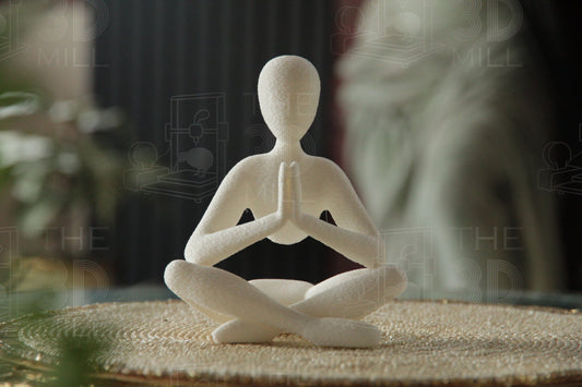 The Meditator