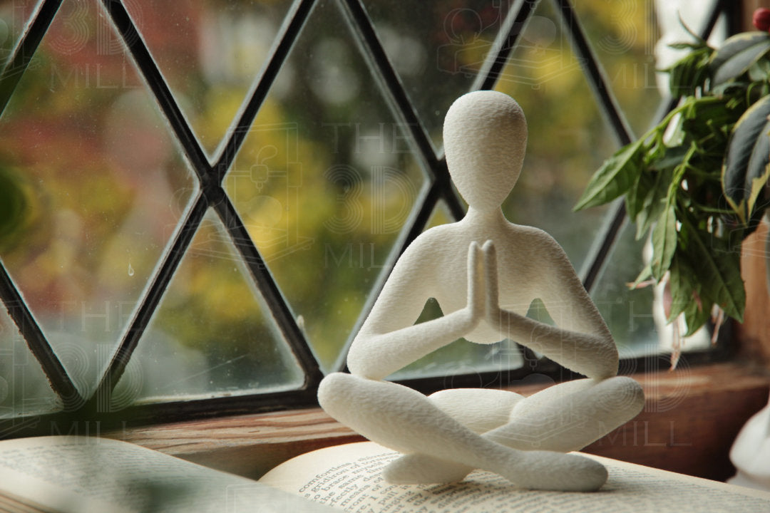 The Meditator
